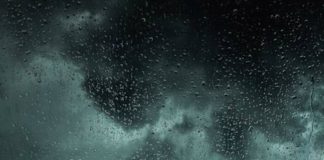 Photo courtesy of Valentin Müller/Unsplash