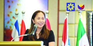Secretary Sharon Garin says the Visayas, which currently heavily relies on power imports from Luzon and Mindanao, needs more mid-merit and baseload plants. DOE PHOTO
