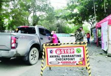 Antique tightens border controls against ASF; guv orders stricter inspections Veterinary inspectors conduct checkpoint inspections at one of Antique's border control stations as the provincial government intensifies biosecurity measures to prevent the entry of African Swine Fever. Gov. Paolo Javier has ordered stricter border enforcement and the deployment of additional inspectors to keep the province free of the disease. K5 ANTIQUE FB PHOTO