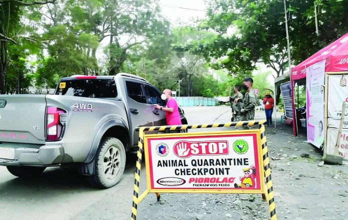 Antique_ASF_copy_compressed_resized Veterinary inspectors conduct checkpoint inspections at one of Antique's border control stations as the provincial government intensifies biosecurity measures to prevent the entry of African Swine Fever. Gov. Paolo Javier has ordered stricter border enforcement and the deployment of additional inspectors to keep the province free of the disease. K5 ANTIQUE FB PHOTO