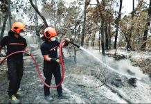 Volunteer firefighter suspected of starting devastating France forest fire Two firefighters hold a hose as they spray water on to burned ground in a dense forest south of Paris, France. REUTERS