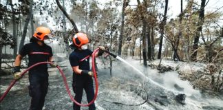 Two firefighters hold a hose as they spray water on to burned ground in a dense forest south of Paris, France. REUTERS