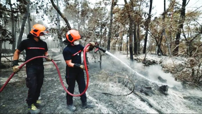 France Two firefighters hold a hose as they spray water on to burned ground in a dense forest south of Paris, France. REUTERS