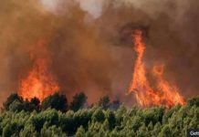 Southern France has been hit with wildfires due to a record-breaking European heatwave. GETTY IMAGES
