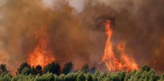 Southern France has been hit with wildfires due to a record-breaking European heatwave. GETTY IMAGES