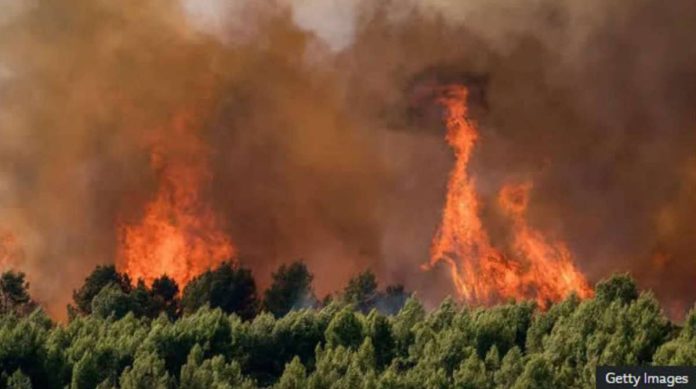 France_compressed_resized Southern France has been hit with wildfires due to a record-breaking European heatwave. GETTY IMAGES