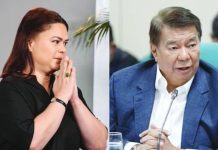 Impeachment, not leadership fight, is Senate’s biggest test – Drilon DUTERTE-CARPIO, DRILON