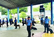 Newly trained narcotics detection dogs and their handers from Class Takaban 2026 demonstrate their drug detection capabilities during graduation exercises before their deployment to Iloilo’s ports, airports, transport terminals, and police checkpoints. The 26 K-9 teams are expected to strengthen the Iloilo Police Provincial Office’s efforts to intercept illegal drugs at the province’s major entry points and enhance ongoing anti-narcotics operations. IPPO