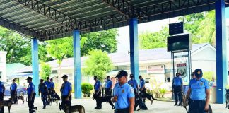 Newly trained narcotics detection dogs and their handers from Class Takaban 2026 demonstrate their drug detection capabilities during graduation exercises before their deployment to Iloilo’s ports, airports, transport terminals, and police checkpoints. The 26 K-9 teams are expected to strengthen the Iloilo Police Provincial Office’s efforts to intercept illegal drugs at the province’s major entry points and enhance ongoing anti-narcotics operations. IPPO