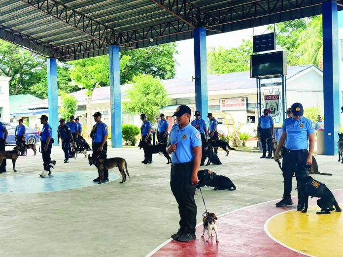 K-9_(2)_compressed_resized Newly trained narcotics detection dogs and their handers from Class Takaban 2026 demonstrate their drug detection capabilities during graduation exercises before their deployment to Iloilo’s ports, airports, transport terminals, and police checkpoints. The 26 K-9 teams are expected to strengthen the Iloilo Police Provincial Office’s efforts to intercept illegal drugs at the province’s major entry points and enhance ongoing anti-narcotics operations. IPPO