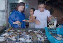 Veteran broadcast journalist Jessica Soho (left) checks out the blue swimming crabs during a visit to E.B. Magalona, Negros Occidental in February 2025. Data from the Bureau of Fisheries and Aquatic Resources - Negros Island Region showed that Negros Occidental produced more than 1,151 metric tons of blue swimming crab in 2025, with an estimated value of P936.35 million. PHOTO COURTESY OF GMA NEWS