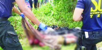 Crime scene investigators examined the body of a 26-year-old Bacolod resident, identified only by the alias “Mickey,” after it was found wrapped in plastic and packaging tape in a sugarcane field in Barangay Pacol, Bago City, Negros Occidental, on July 2. Police have launched a full-scale investigation to identify the perpetrators and determine the motive behind the killing. PRO-NIR PHOTO