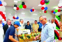 PH pineapples debut in UAE The shipment 1,500 boxes of fresh MD2 pineapples arrive via the Port of Khor Fakkan in the United Arab Emirates on June 28, 2026. The Department of Agriculture on Tuesday, June 30, said fresh Philippine produce are steadily gaining ground in the international market. PNA/PHOTO COURTESY OF DA