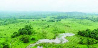An aerial view shows the proposed 1,620-hectare Pax Silica site at New Clark City in Capas, Tarlac. Pax Silica is a United States-led international initiative launched in December 2025 to secure supply chains for semiconductors, artificial intelligence, and critical minerals. GRIG C. MONTEGRANDE/INQUIRER