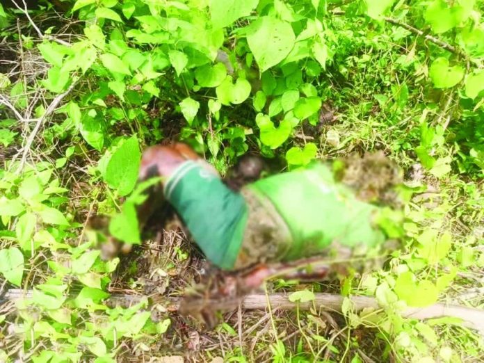 Sipalay_dead_body_compressed_resized The remains of a 27-year-old man found in an advanced state of decomposition in Purok Saging, Barangay Canturay, Sipalay City, Negros Occidental on July 8. The victim had been missing for seven days before his body was discovered. Authorities are conducting further investigation to determine the cause of death. PRO-NIR PHOTO