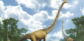 This is an artist’s impression of a new dinosaur discovered in Thailand. ARTWORK BY PAKORN CHOTCHAIYAPORN