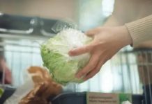 Cyclospora outbreak expands to nine US states – health execs The cyclospora parasite linked to iceberg lettuce causes cyclosporiasis and leads to explosive diarrhea. There are multiple outbreaks in the United States. BBC