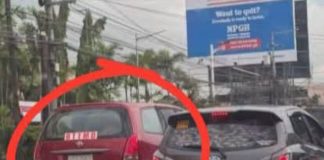 Photo courtesy of LTO-NIR
