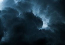 Photo courtesy of Egor Yakushkin/Unsplash