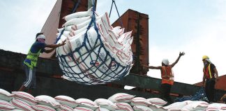 The Department of Agriculture has recommended reviving the price ceiling to keep retail prices of imported rice stable while local supply remains tight. DANNY PATA PHOTO
