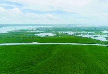 Iloilo City creates 100-meter greenbelt, locks in protection of 100 hectares of mangroves An aerial view shows the sprawling mangrove forests along Iloilo City’s coastline, now protected under the newly signed Coastal Greenbelt Zone Ordinance. PHOTOS FROM MAYOR JERRY TREÑAS FACEBOOK PAGE