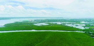 An aerial view shows the sprawling mangrove forests along Iloilo City’s coastline, now protected under the newly signed Coastal Greenbelt Zone Ordinance. PHOTOS FROM MAYOR JERRY TREÑAS FACEBOOK PAGE