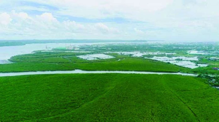 mai_coastal_greenbelt_copy_compressed_resized An aerial view shows the sprawling mangrove forests along Iloilo City’s coastline, now protected under the newly signed Coastal Greenbelt Zone Ordinance. PHOTOS FROM MAYOR JERRY TREÑAS FACEBOOK PAGE