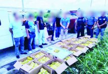 Chinese national, woman held over P470K fake seasoning in Bacolod CIDG-Bacolod personnel arrested two suspects and displayed boxes and sacks of allegedly counterfeit Maggi Magic Sarap seasoning products seized during an entrapment operation along the Economic Highway in Barangay Mansilingan, Bacolod City, on August 5. The seized products were valued at about P470,400. CIDG-BACOLOD PHOTO