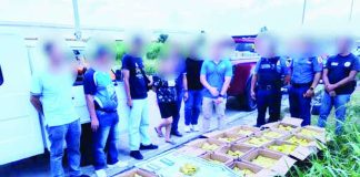 CIDG-Bacolod personnel arrested two suspects and displayed boxes and sacks of allegedly counterfeit Maggi Magic Sarap seasoning products seized during an entrapment operation along the Economic Highway in Barangay Mansilingan, Bacolod City, on August 5. The seized products were valued at about P470,400. CIDG-BACOLOD PHOTO