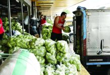 DA upgrades early-warning system to prevent vegetable losses Farmers and vegetable traders in the Cordillera are feeling the impact of heavy rains and recent tropical cyclones, with damaged crops, higher transport costs, and limited supply cutting into their income. IMAGE VIA GMA REGIONAL TV ONE NORTH CENTRAL LUZON