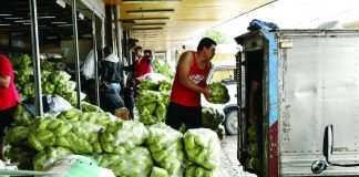 Farmers and vegetable traders in the Cordillera are feeling the impact of heavy rains and recent tropical cyclones, with damaged crops, higher transport costs, and limited supply cutting into their income. IMAGE VIA GMA REGIONAL TV ONE NORTH CENTRAL LUZON