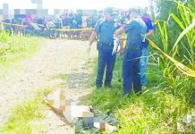Man found dead with gunshot wounds in Himamaylan Police investigators examined the roadside where the body of a still-unidentified man, who sustained fatal gunshot wounds, was found in Purok 11, Sitio Tanate, Barangay Aguisan, Himamaylan City, Negros Occidental, on August 9. NEGOCC PPO PHOTO