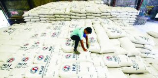 A warehouse staff member inspects sacks of palay bought from farmers by the National Food Authority (NFA) in Balagtas, Bulacan in an undated photo. The NFA says a total of 741,570 bags of local milled rice aged over six months will be up for auction on August 12, 2026. PNA PHOTO BY JOAN BONDOC