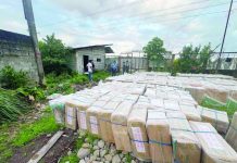 Over P14.6-M worth of illicit cigarettes seized in NegOcc A total of 255 boxes of suspected untaxed “Concept” cigarettes worth an estimated P14.61 million are displayed after being seized during an anti-smuggling operation in Barangay Malingin, Bago City, Negros Occidental on August 6, 2026. PRO-NIR PHOTO
