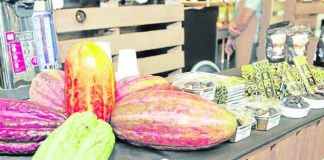 The commercial shipment of 6,000-kilogram of fermented cacao beans is expected to reach the Port of Lyttelton in New Zealand this August. Photo shows cacao from the Davao region. PHOTO COURTESY OF INQUIRER.NET