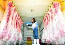 PH meat imports top 1 billion kilos in July An officer from the meat inspection office of Marikina City inspects freshly slaughtered carcass inside a delivery van in this August 15 photo. INQUIRER PHOTO / LYN RILLON