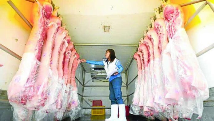 PH_meat_imports.JPG_resized An officer from the meat inspection office of Marikina City inspects freshly slaughtered carcass inside a delivery van in this August 15 photo. INQUIRER PHOTO / LYN RILLON