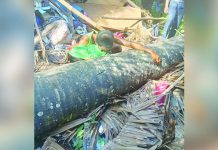 8-year-old boy dies after palm tree crashes onto house in Sagay City A grieving father embraced the body of his eight-year-old son in their heavily damaged house in Barangay Bulanon, Sagay City, Negros Occidental after a 60-foot palm tree collapsed onto the residence on August 5. The child died from severe head injuries, while his mother and twin sister escaped unharmed. ANJELOU MAPA PHOTO