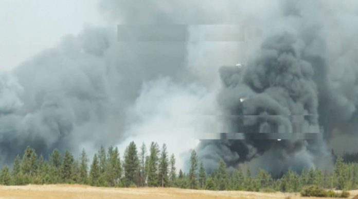 US Thick smoke rises from this field in Washington state.