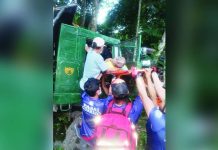 10-wheeler truck crashes into tree in Passi City; driver injured Emergency responders extracted a driver from his 10-wheeler truck after the vehicle crashed into a coconut tree in Barangay Gemumua-Agahon, Passi City, Iloilo on Saturday, August 29, 2026. PASSI CITY PRIDE RESPONDERS IN DISASTERS AND EMERGENCIES/FB PHOTOS