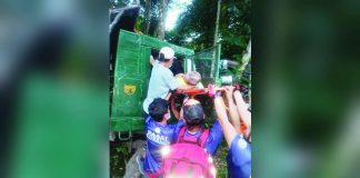 Emergency responders extracted a driver from his 10-wheeler truck after the vehicle crashed into a coconut tree in Barangay Gemumua-Agahon, Passi City, Iloilo on Saturday, August 29, 2026. PASSI CITY PRIDE RESPONDERS IN DISASTERS AND EMERGENCIES/FB PHOTOS