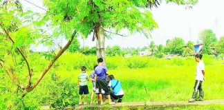 The “duldol” tree in Zone 10, Barangay Calaparan, Arevalo, Iloilo City, where alias “Ar-ar” was discovered bound and stabbed on Sunday night, August 30, 2026. Police have since arrested the two suspects in connection with the fatal attack. ALLEN ANIMAS/PN
