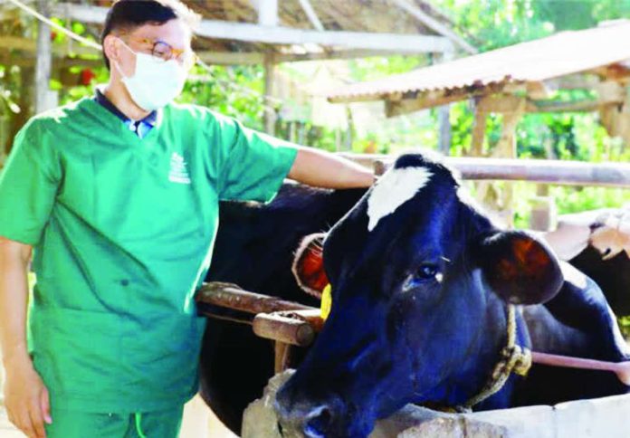 The National Dairy Authority encourages dairy farmers to expand their herds, invest in quality feeds, and boost production, citing its support and rising demand from government nutrition and feeding programs. NDA.GOV.PH PHOTO