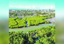 Greenbelt ordinance to get science-based upgrade to strengthen coastal protection, climate resilience Iloilo City, through an ordinance, is establishing a coastal greenbelt zone — a 100-meter strip of coastal vegetation consisting of mangroves and beach forest species from sea towards land that are designed to shield vulnerable communities from natural coastal hazards. The coastal greenbelt zone is a nature-based solution to perennial problem of coastal flooding and erosion, storm surges, and extreme weather conditions brought about by climate change. PHOTO FROM JERRY TREÑAS FACEBOOK PAGE