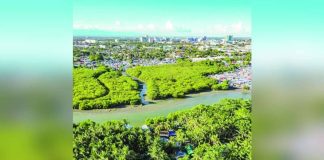 Iloilo City, through an ordinance, is establishing a coastal greenbelt zone — a 100-meter strip of coastal vegetation consisting of mangroves and beach forest species from sea towards land that are designed to shield vulnerable communities from natural coastal hazards. The coastal greenbelt zone is a nature-based solution to perennial problem of coastal flooding and erosion, storm surges, and extreme weather conditions brought about by climate change. PHOTO FROM JERRY TREÑAS FACEBOOK PAGE