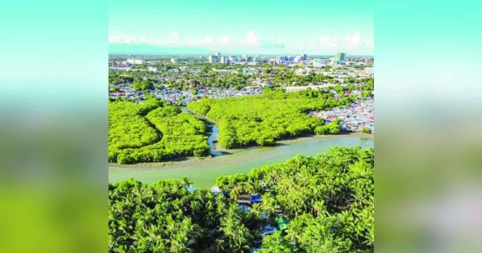 mai scientific copy_superimposed Iloilo City, through an ordinance, is establishing a coastal greenbelt zone — a 100-meter strip of coastal vegetation consisting of mangroves and beach forest species from sea towards land that are designed to shield vulnerable communities from natural coastal hazards. The coastal greenbelt zone is a nature-based solution to perennial problem of coastal flooding and erosion, storm surges, and extreme weather conditions brought about by climate change. PHOTO FROM JERRY TREÑAS FACEBOOK PAGE