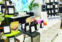 Negros Occidental focuses on unique, sustainable coffee production Coffee produced by farmers assisted by the Negros Occidental Provincial Environment and Management Office is exhibited at the 2026 Negros Island Coffee Fiesta lfrom Aug. 7 to 9, 2026. The event gathered more than 30 exhibitors, comprising homegrown cafés, coffee producers, roasters, and artisans. PNA photo by Nanette Guadalquiver