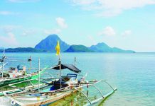 BFAR tightens crab catch monitoring to restore access to US export market
