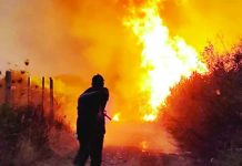 Algeria president seeks death penalty for arsonists after deadly forest fires An Algerian Civil Protection firefighter in a ground operation to battle a raging forest fire. President Abdelmadjid Tebboune said he was not ruling out foul play after 100 wildfires were recorded. ANADOLU VIA GETTY IMAGES