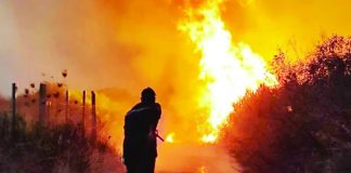 An Algerian Civil Protection firefighter in a ground operation to battle a raging forest fire. President Abdelmadjid Tebboune said he was not ruling out foul play after 100 wildfires were recorded. ANADOLU VIA GETTY IMAGES